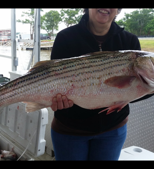 Lake Texoma Fishing Guides